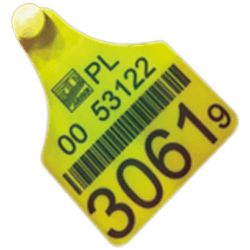 animal tag marking